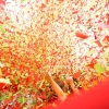Foto Elrow Town Festival