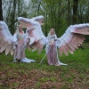 Sfeerfoto Elf Fantasy Fair 2019