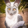 Foto Elf Fantasy Fair 2019