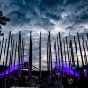 Foto Down The Rabbit Hole 2019