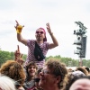 Foto Down The Rabbit Hole 2019