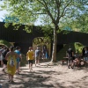 Foto Down The Rabbit Hole 2019