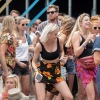 Foto Down The Rabbit Hole 2019