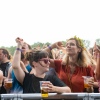 Foto Down The Rabbit Hole 2019