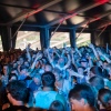 Foto Down The Rabbit Hole 2019