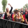 Foto Down The Rabbit Hole 2019