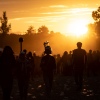 Foto Down The Rabbit Hole 2019