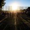 Foto Down The Rabbit Hole 2019