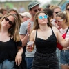 Foto Down The Rabbit Hole 2019