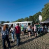 Foto Down The Rabbit Hole 2019