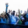 Foto Down The Rabbit Hole 2019