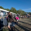 Foto Down The Rabbit Hole 2019