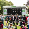 Sfeerfoto Werfpop 2019