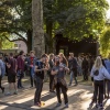 Foto Vierdaagsefeesten Nijmegen 2019