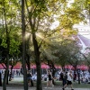 Sfeerfoto Sziget 2019