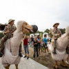 Foto Sziget 2019
