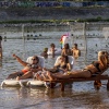 Sfeerfoto Sziget 2019