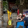 Sfeerfoto Sziget 2019