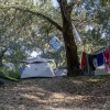 Foto Sziget 2019