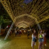 Sfeerfoto Sziget 2019