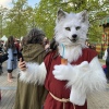 Foto Elfia 2022