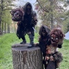 Foto Elfia 2022
