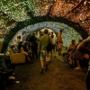 Foto Lowlands 2022
