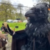 Foto Elfia 2023