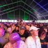 Foto Down The Rabbit Hole 2023