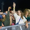 Foto Down The Rabbit Hole 2023