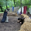 Castlefest 2023