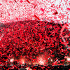 Sfeerfoto Pinkpop 2026