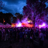Sfeerfoto Down The Rabbit Hole 2026