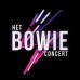 het Bowie concert