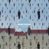 Racoon -    Liverpool Rain