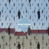Racoon - Liverpool Rain