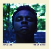 Cover Sinkane - Mean Love