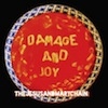 Cover The Jesus And Mary Chain - Damage And Joy