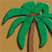 palmboom.jpg