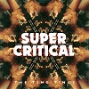 Cover The Ting Tings - Super Critical