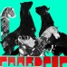 Paardpop