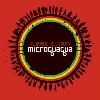 Cover Microguagua - Al Borde De La Ruta