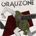 logo Grauzone