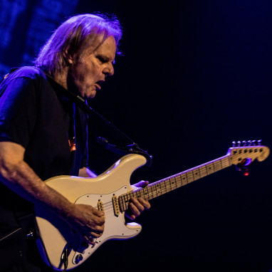 Walter Trout news_groot