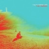 Cover The Flaming Lips - The Terror