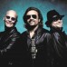 Beegees Tribute
