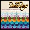 The Beach Boys That's Why God Made The Radio cover