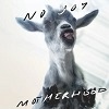 Cover No Joy - Motherhood