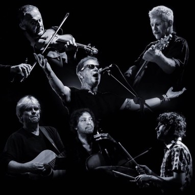 Oysterband news_groot