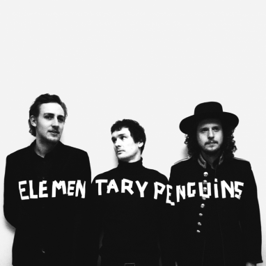 the elementary penguins